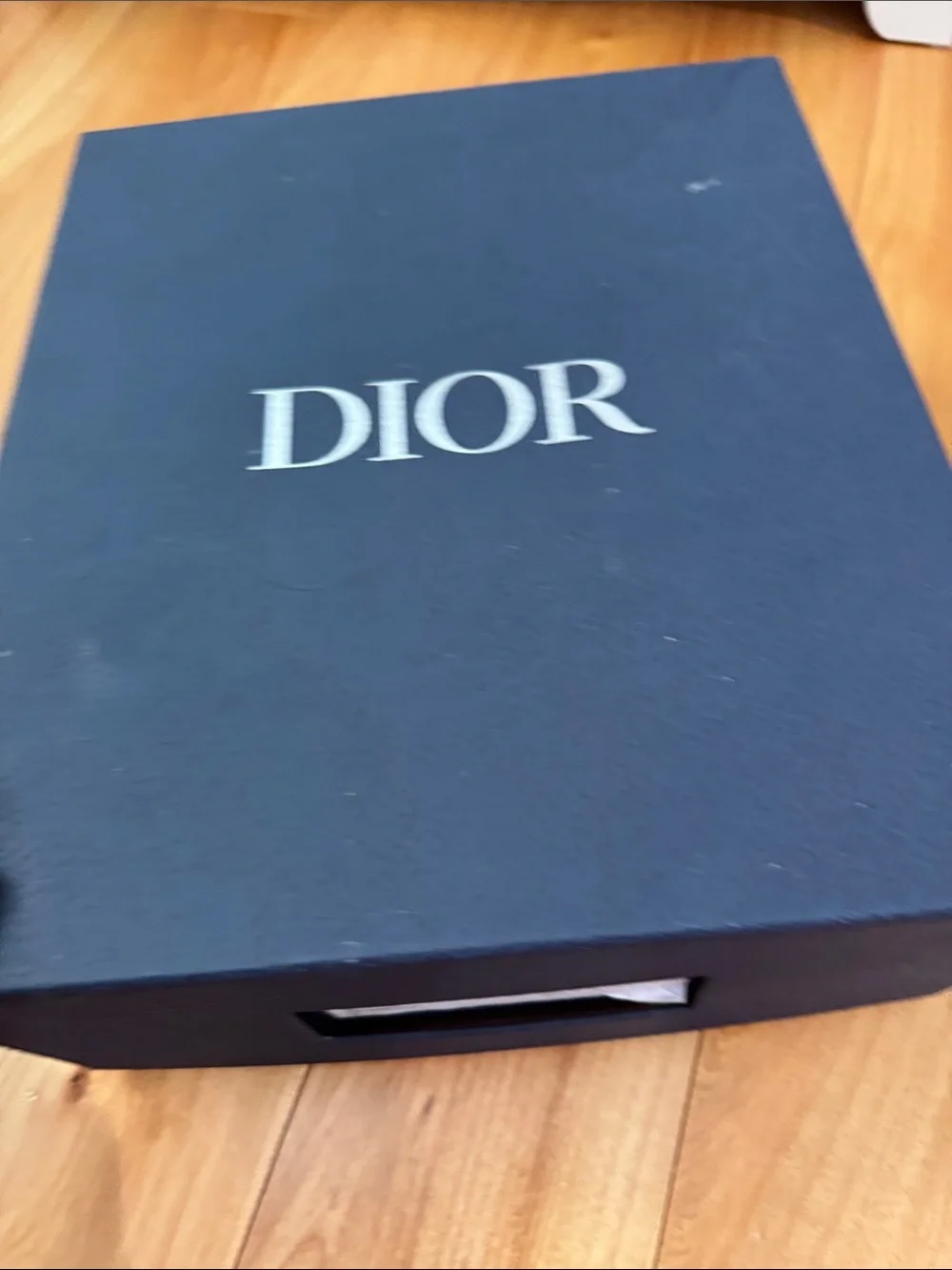 Dior high top
